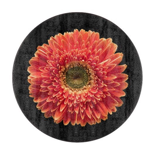 Blumen | Orange Gerbera Daisy Schneidebrett (Vorderseite)