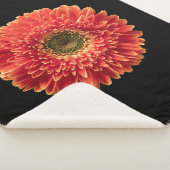 Blumen | Orange Gerbera Daisy Sherpadecke (3/4)
