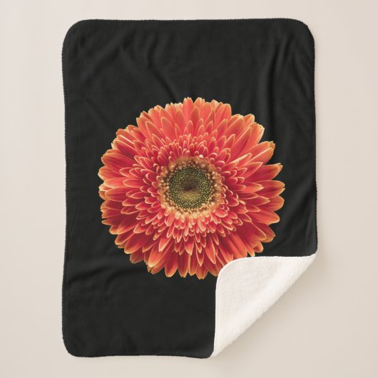 Blumen | Orange Gerbera Daisy Sherpadecke (Vorderseite)