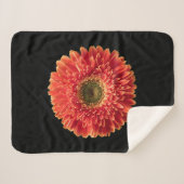 Blumen | Orange Gerbera Daisy Sherpadecke (Vorderseite (Horizontal))