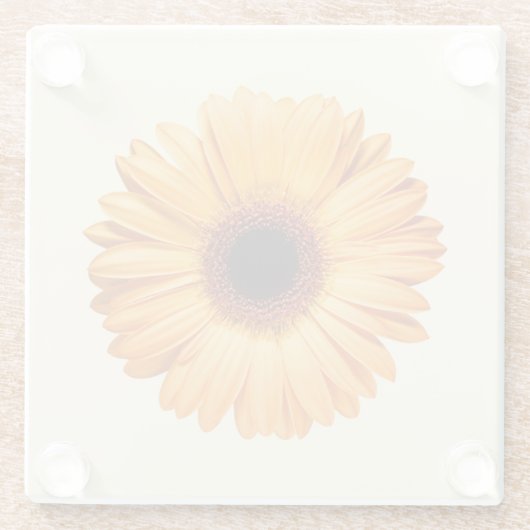 Blumen | Orange Gerbera Glasuntersetzer (Rückseite)