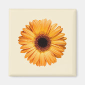 Blumen | Orange Gerbera Magnet (Vorne)