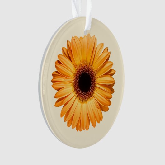 Blumen | Orange Gerbera Ornament (Vorderseite)