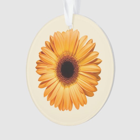 Blumen | Orange Gerbera Ornament (Vorderseite)