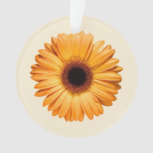 Blumen | Orange Gerbera Ornament (Vorderseite)