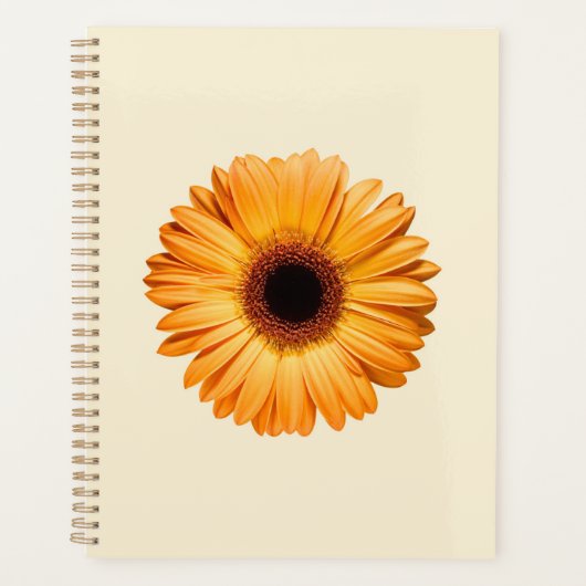 Blumen | Orange Gerbera Planer (Vorderseite)