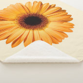 Blumen | Orange Gerbera Sherpadecke (3/4)