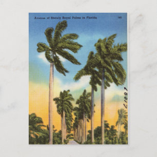 Blumen Palmen Vintage Florida Postkarte