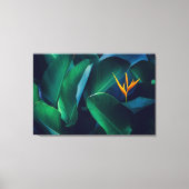 Blumen | Paradiesvogel Leinwanddruck (Vorderseite)