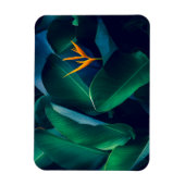 Blumen | Paradiesvogel Magnet (Vertikal)