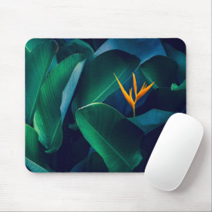 Blumen   Paradiesvogel Mousepad