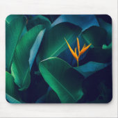 Blumen | Paradiesvogel Mousepad (Vorne)