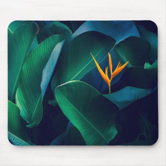 Blumen | Paradiesvogel Mousepad (Vorne)