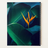 Blumen | Paradiesvogel Planer (Rückseite)