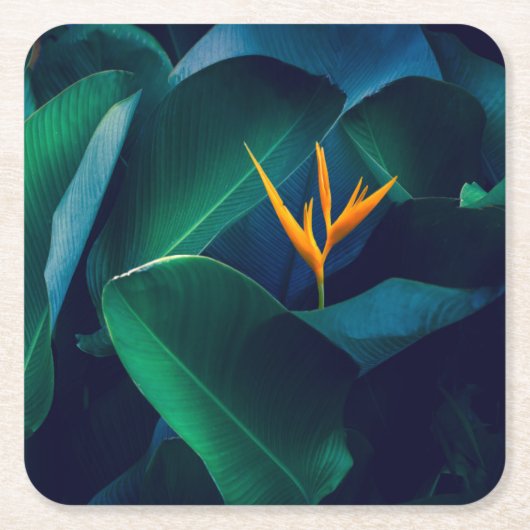 Blumen | Paradiesvogel Rechteckiger Pappuntersetzer (Vorderseite)