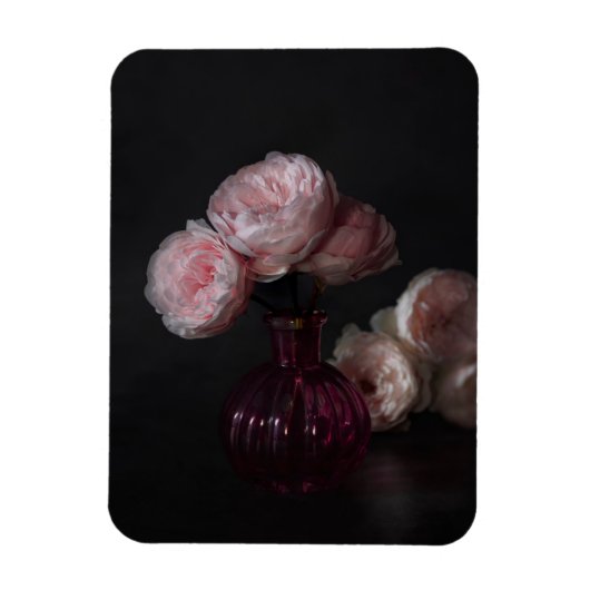 Blumen | Pellrosafarbene Erdnüsse in Vase Magnet (Vertikal)