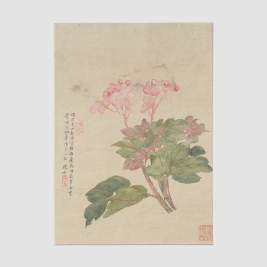 Blumen Pl. 09 von Liang Yuwei Seidenpapier (Vorderseite)
