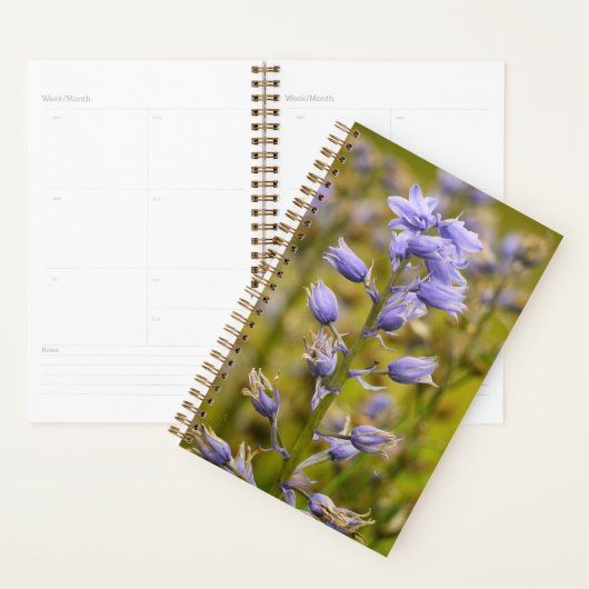 Blumen Planer (Anzeige)