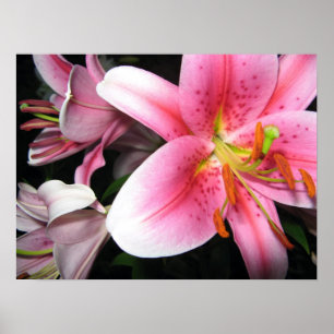 Blumen Poster