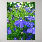 Blumen Poster (Vorne)