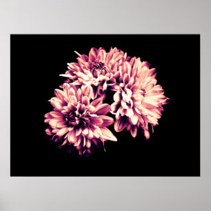 Blumen Poster