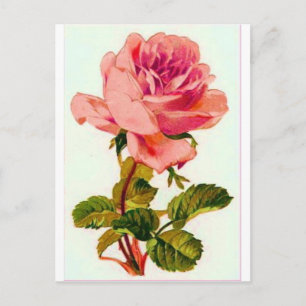 Blumen Postkarte