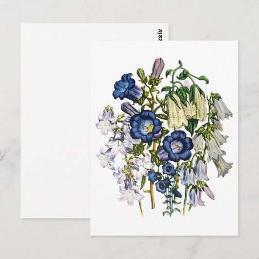 Blumen Postkarte (Vorne/Hinten)