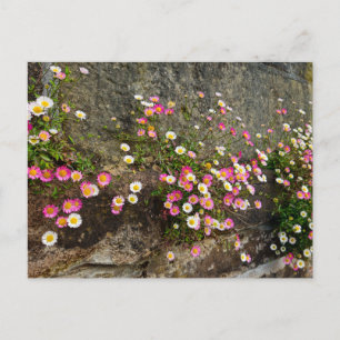 Blumen postkarte