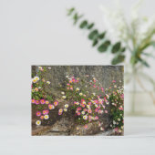 Blumen postkarte (Stehend Vorderseite)