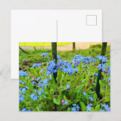 Blumen Postkarte (Vorne/Hinten)