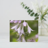 Blumen Postkarte (Stehend Vorderseite)