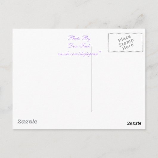 Blumen Postkarte (Rückseite)