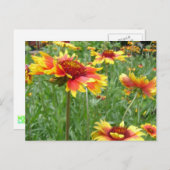 Blumen Postkarte (Vorne/Hinten)