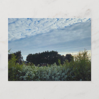 Blumen postkarte