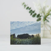 Blumen postkarte (Stehend Vorderseite)