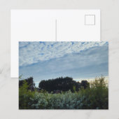 Blumen postkarte (Vorne/Hinten)