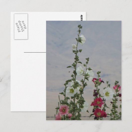 Blumen Postkarte (Vorne/Hinten)