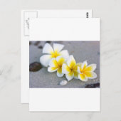 Blumen Postkarte (Vorne/Hinten)