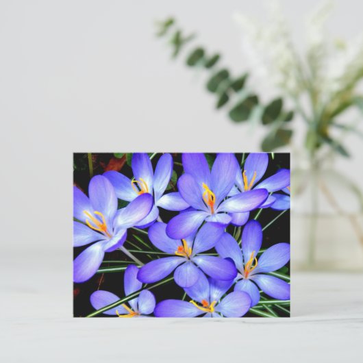 Blumen Postkarte (Stehend Vorderseite)