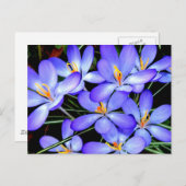 Blumen Postkarte (Vorne/Hinten)