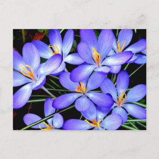 Blumen Postkarte