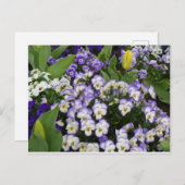 Blumen-Postkarte Postkarte (Vorne/Hinten)