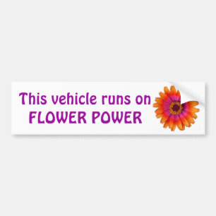 Blumen-Power-Gänseblümchenorange, dieses Fahrzeug Autoaufkleber