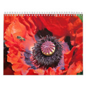 Blumen-Power Kalender (Titelbild)