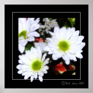 Blumen-Power Poster