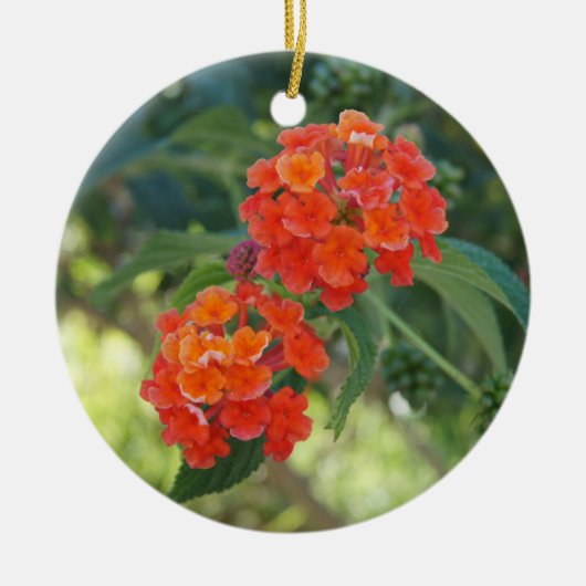 Blumen-Power-u. Natur-Verzierung - rote Lantanas Keramikornament (Vorne)