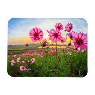 Blumen Provinz Chiang Rai, Thailand Magnet