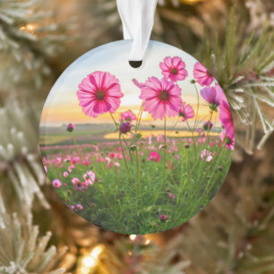 Blumen  Provinz Chiang Rai, Thailand Ornament
