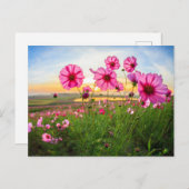 Blumen |Provinz Chiang Rai, Thailand Postkarte (Vorne/Hinten)