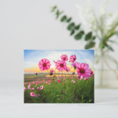 Blumen |Provinz Chiang Rai, Thailand Postkarte (Stehend Vorderseite)